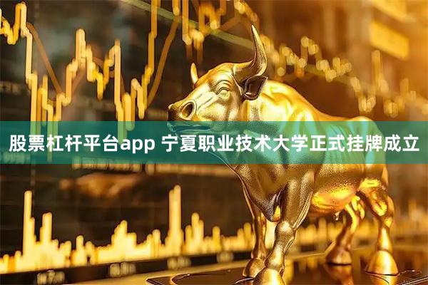 股票杠杆平台app 宁夏职业技术大学正式挂牌成立